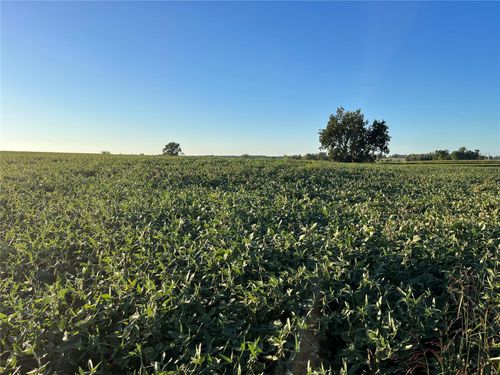 0 78.5 Acres On Hwy Oo, Old Monroe, MO, 63369 | Card Image