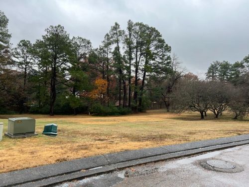 1308 Heron Oaks Cv, Memphis, TN, 38120-3240 | Card Image