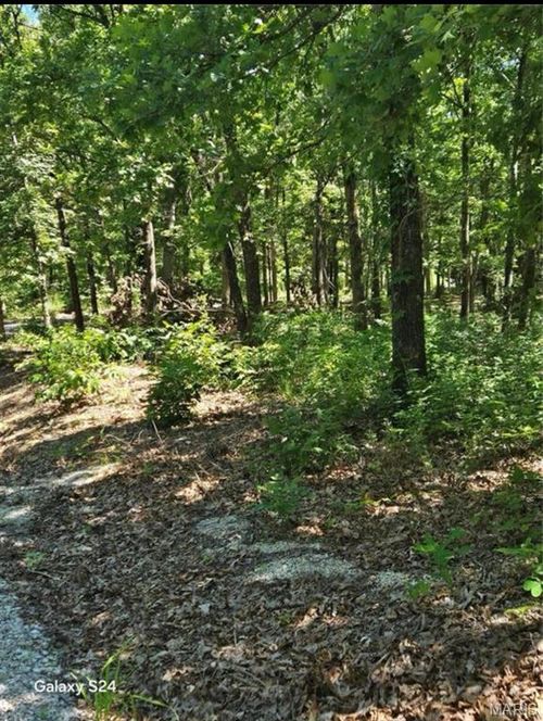 1 Dusty Road, Cadet, MO, 63630 | Card Image