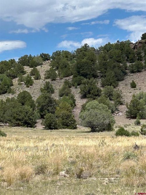 TBD Tbd, La Jara, CO, 81140 | Card Image