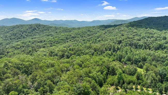 Lot 1 High Knee Rd, Home with 0 bedrooms, 0 bathrooms and null parking in Cherry Log GA | Image 11