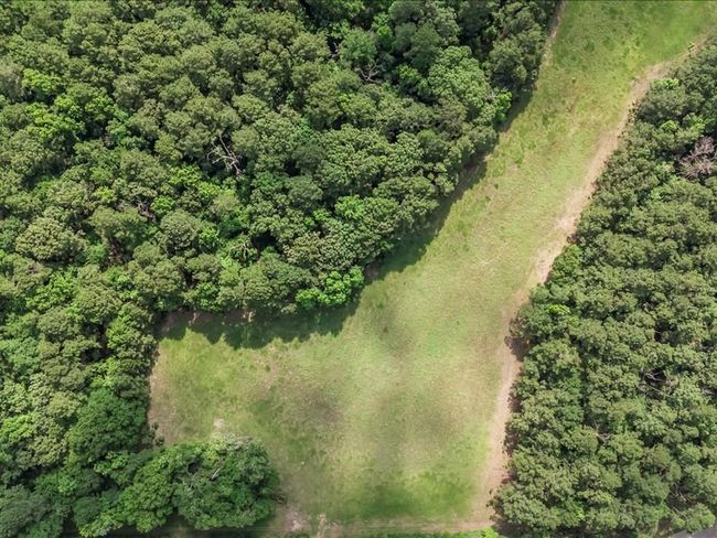 000 An County Road 100, Home with 0 bedrooms, 0 bathrooms and null parking in Elkhart TX | Image 11