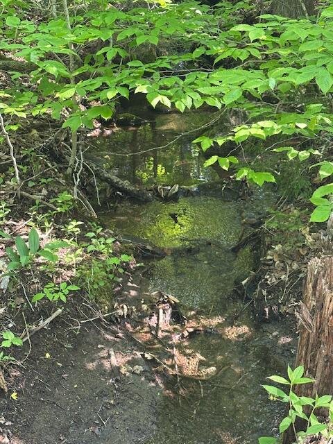 Land in Greenville 2