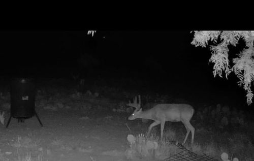 0000 Fm 1828, Eldorado, TX, 76936 | Card Image