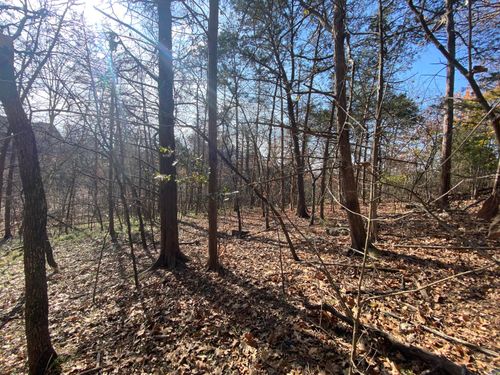 000 Seagull Ln, Cape Fair, MO, 65624 | Card Image