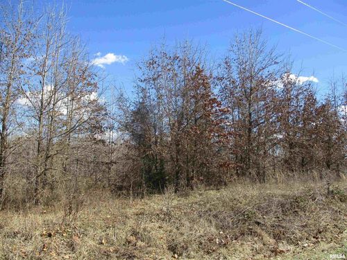 0000 Antioch Rd, West Frankfort, IL, 62896 | Card Image