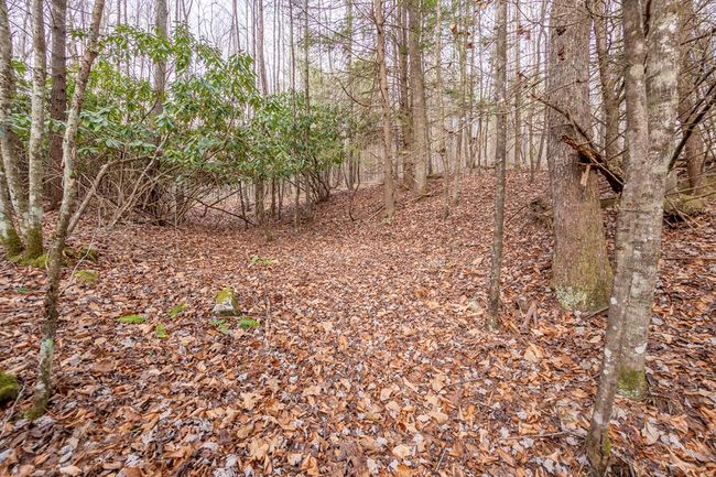 000 Miriam Road, Home with 0 bedrooms, 0 bathrooms and null parking in Dugspur VA | Image 14