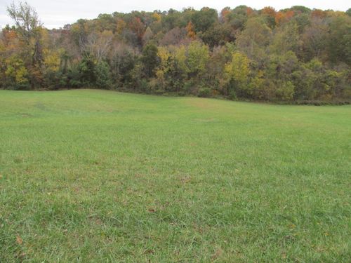 793 S Pickens Bridge Rd, Gray, TN, 37615-4022 | Card Image