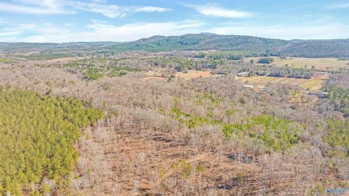 13 Acres County Road 174, Piedmont, AL, 36272 | Card Image