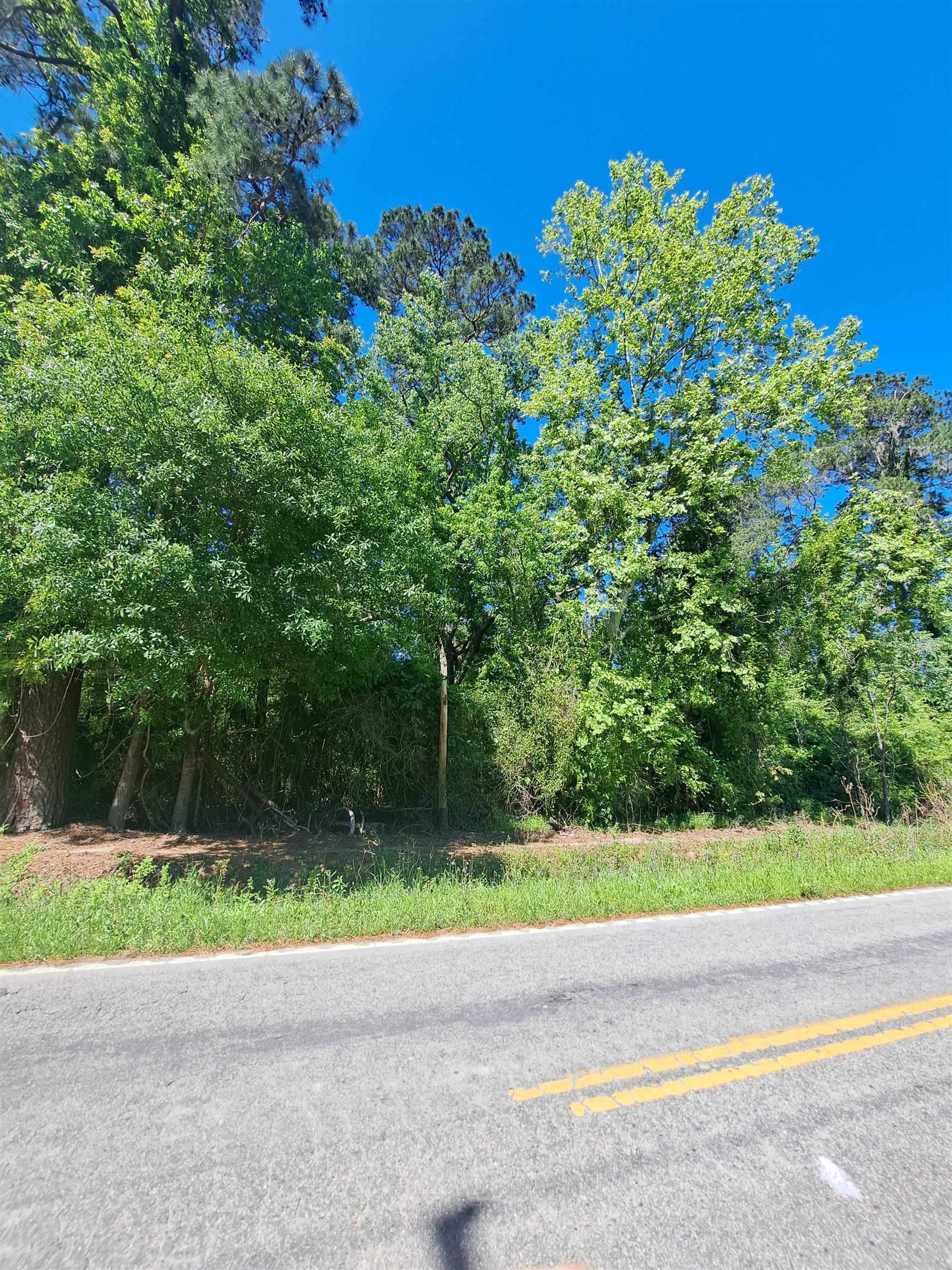 Land in Conway 4