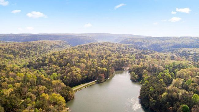 2362 Little Bend Rd, Home with 0 bedrooms, 0 bathrooms and null parking in Signal Mountain TN | Image 9