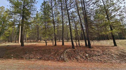 NNA S Serenity Ln, Valleyford, WA, 99036 | Card Image