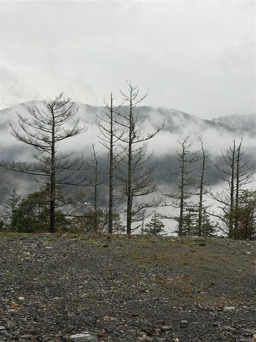 2017 Pinehurst Terr, Langford, BC, V9B3S3 | Card Image