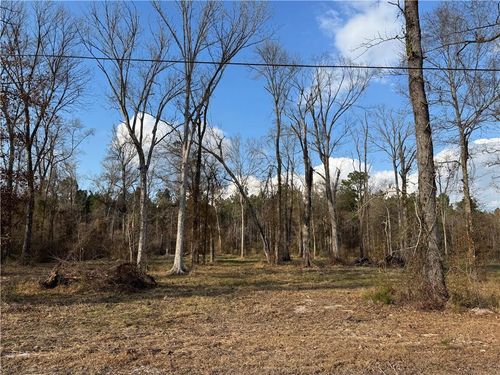 Tract 2-C E Shadow Lake Drive, Holden, LA, 70744 | Card Image