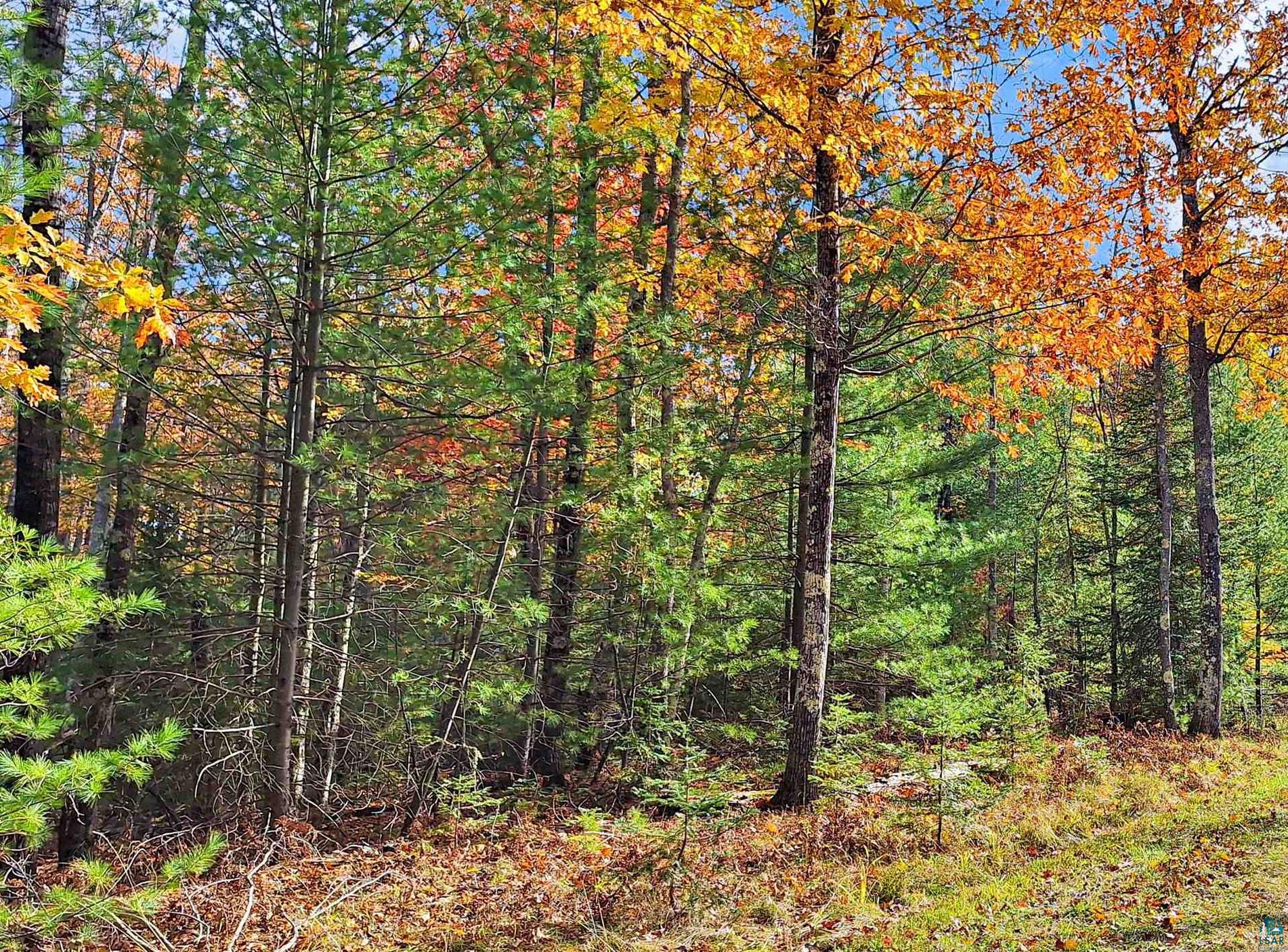Land in LaPointe 3
