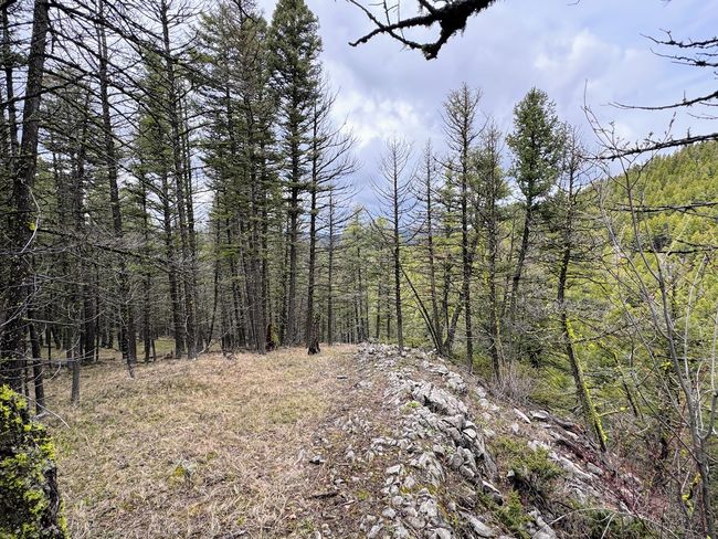653 Canyon Hollow Lane, Home with 0 bedrooms, 0 bathrooms and null parking in Helmville MT | Image 39