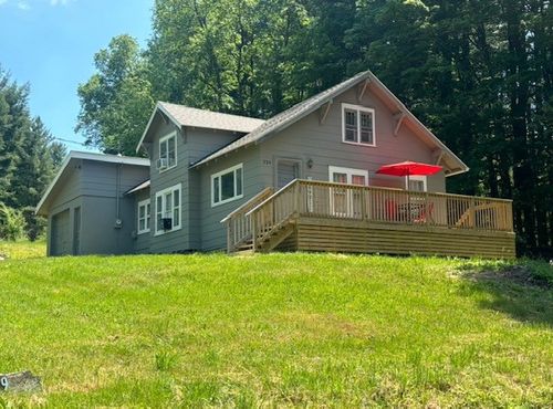 339 Dry Brook Rd, Willseyville, NY, 13864-1408 | Card Image