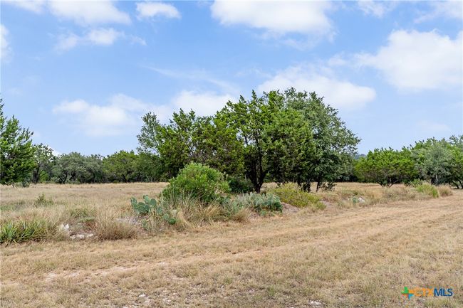 12290 Crows Ranch Rd, Home with 0 bedrooms, 0 bathrooms and null parking in Salado TX | Image 12