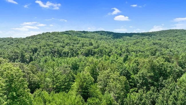 Lot 1 High Knee Rd, Home with 0 bedrooms, 0 bathrooms and null parking in Cherry Log GA | Image 14