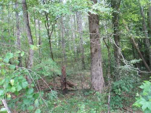 000 Bonner Rd, Mountain Rest, SC, 29664 | Card Image