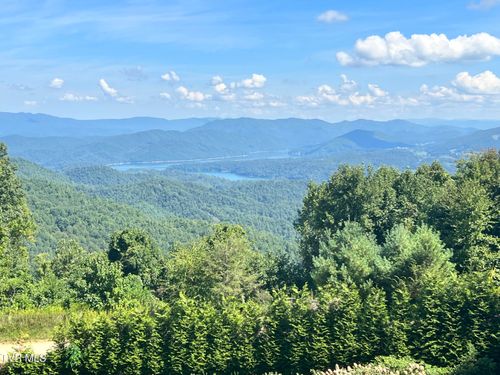 Tbd Tulip Poplar Trl, Butler, TN, 37640 | Card Image