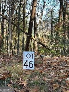 Land in Dawsonville