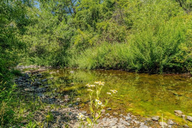 16000 Sutter Creek Rd, House other with 3 bedrooms, 2 bathrooms and null parking in Sutter Creek CA | Image 61