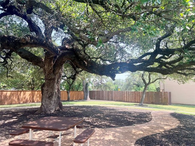 View of yard | Image 19