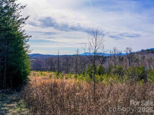 00 Pea Ridge Rd, Mill Spring, NC, 28756 | Card Image
