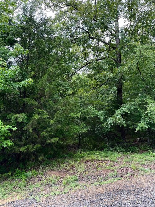 Lot 52 Primrose Creek Cir, Heber Springs, AR, 72543-8753 | Card Image