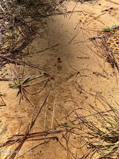 613 N Of Co, Shubuta, MS, 39360 | Card Image