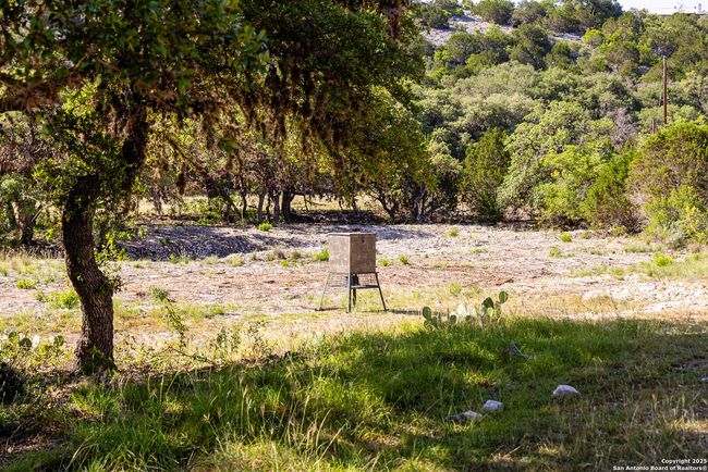 14910 Bullhead Rd, Home with 3 bedrooms, 1 bathrooms and null parking in Rocksprings TX | Image 21