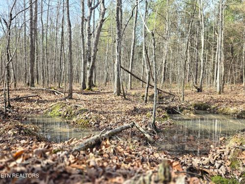 0 Cottonwood Tr, Sunbright, TN, 37872 | Card Image