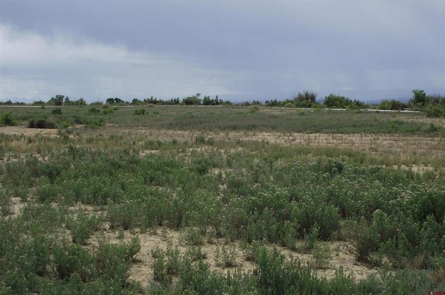 1 1900 Road, Home with 0 bedrooms, 0 bathrooms and null parking in Delta CO | Image 28