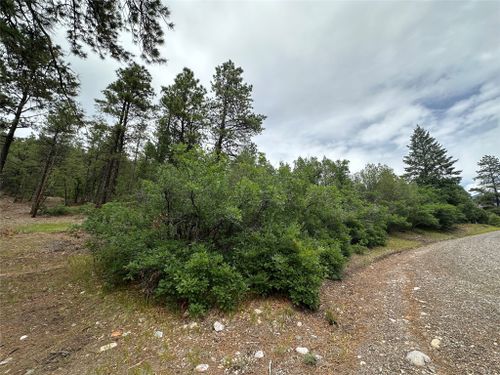 1 Lot 19 Brazos Estates, Chama, NM, 87520 | Card Image