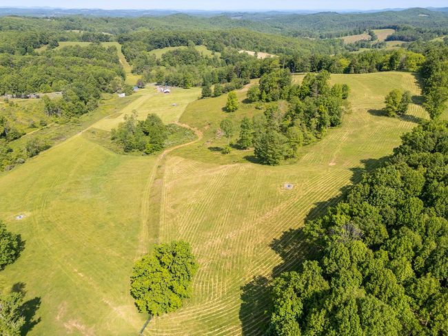 688 Gibson Knob Rd, Home with 0 bedrooms, 0 bathrooms and null parking in Laurel Fork VA | Image 20