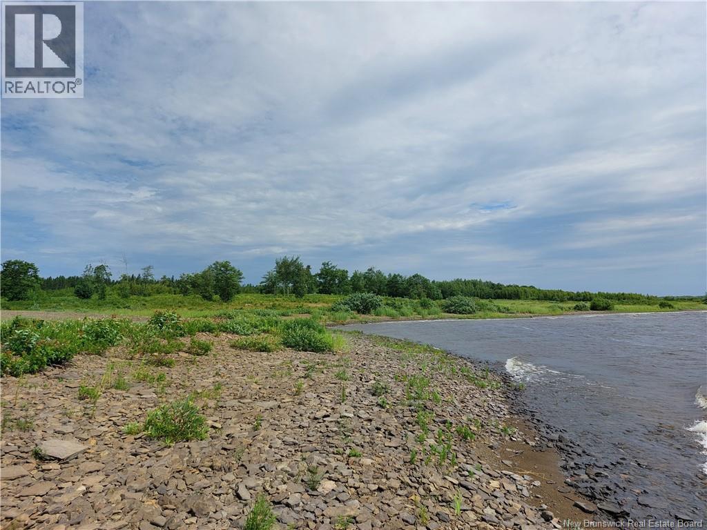 Land in Newcastle Creek 3