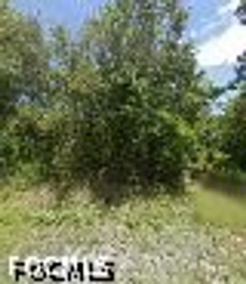 245 N Romero Street, Clewiston, FL, 33440 | Card Image