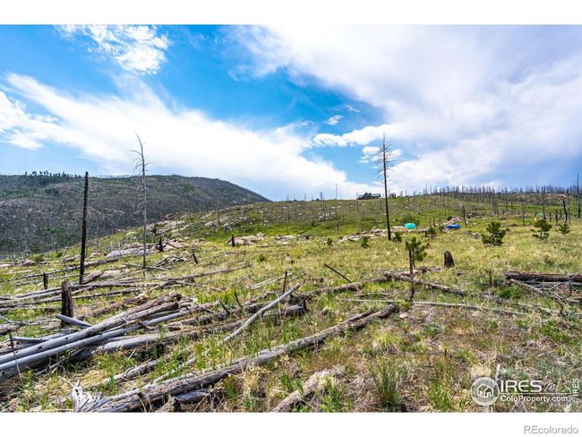 2384 Rist Creek Rd, Home with 0 bedrooms, 0 bathrooms and null parking in Bellvue CO | Image 20