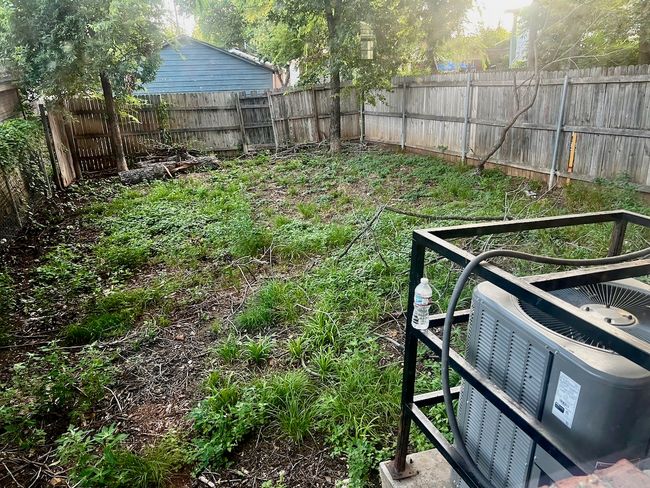 Back yard | Image 14