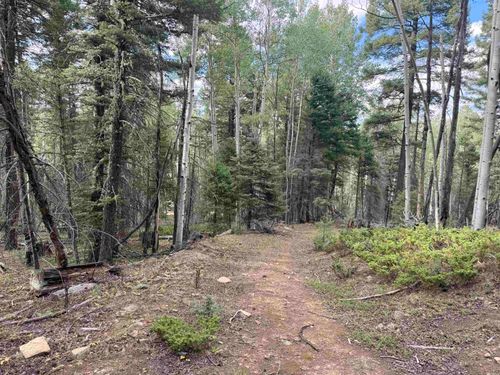 Lot 40 A Vermejo Terrace, Angel Fire, NM, 87710 | Card Image