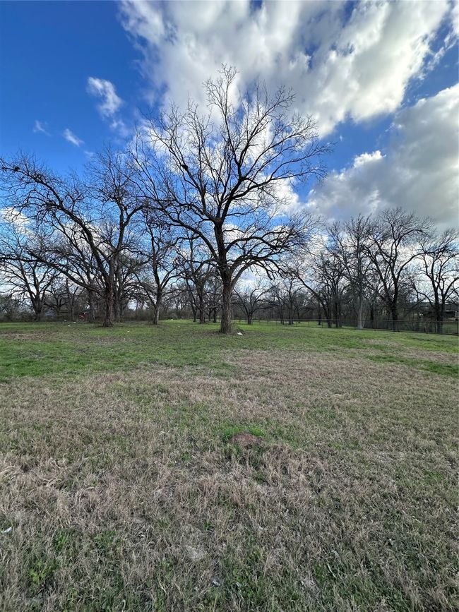 View of yard | Image 10