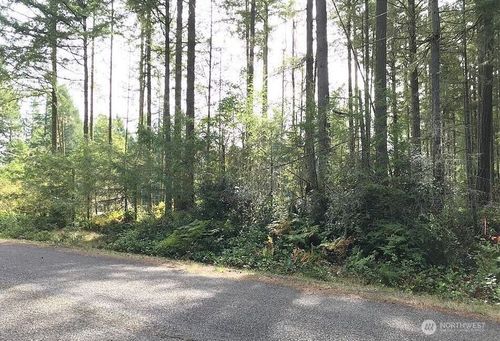 11507 Lake Josephine Ave, Anderson Island, WA, 98303 | Card Image