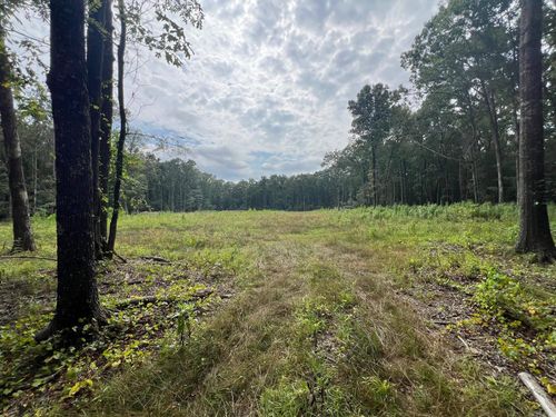 00 Caney Valley Dr, Plumerville, AR, 72127 | Card Image