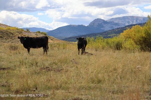 618 N Cottonwood Rd, Daniel, WY, 83115 | Card Image