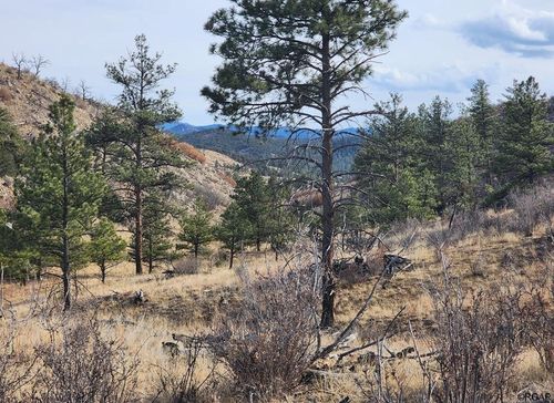 961 Shannon Trl, Cotopaxi, CO, 81223 | Card Image