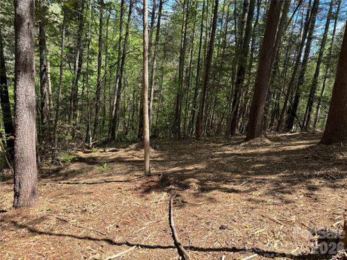 69-1665 Round Mountain Parkway, Lenoir, NC, 28645 | Card Image