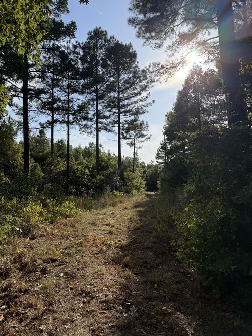 TBD West Liberty Road, Jefferson, TX, 75657 | Card Image