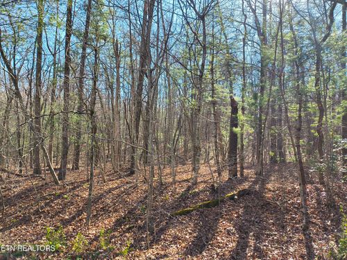 224 Newgate Rd, Crossville, TN, 38558 | Card Image