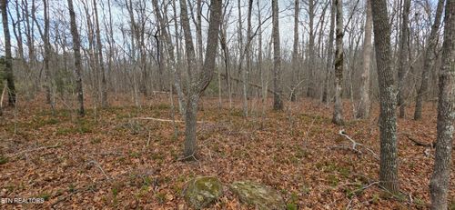 13 Pond Rd, Monterey, TN, 38574-6503 | Card Image